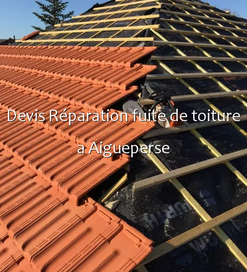 Devis Réparation fuite de toiture a Aigueperse