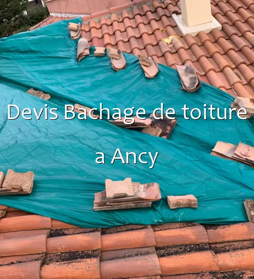 Devis Bachage de toiture a Ancy