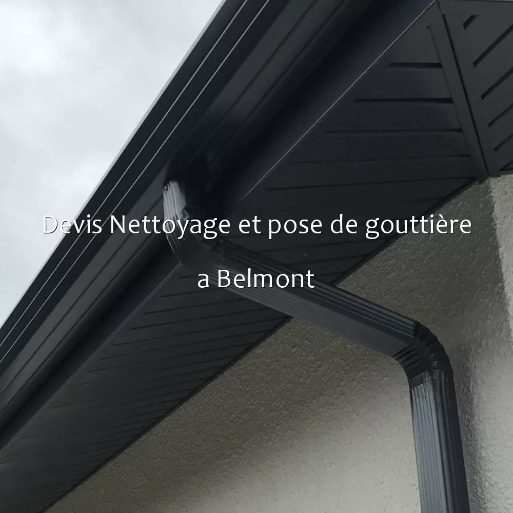 Devis Nettoyage et pose de gouttière a Belmont