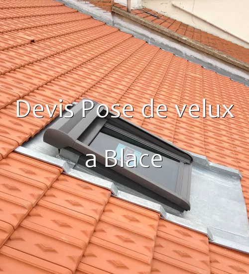 Devis Pose de velux a Blace
