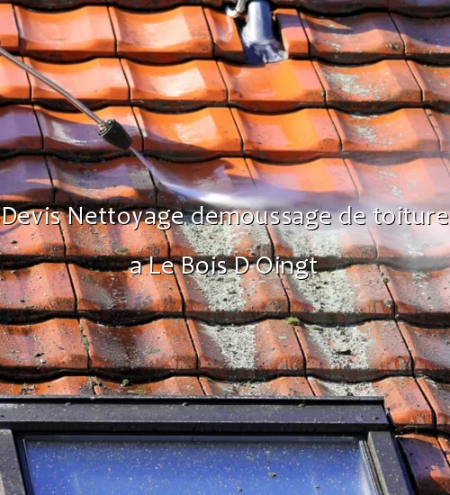 Devis Nettoyage demoussage de toiture a Le Bois D Oingt