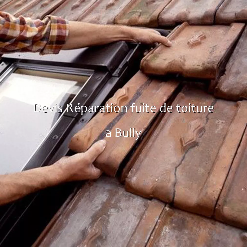 Devis Réparation fuite de toiture a Bully
