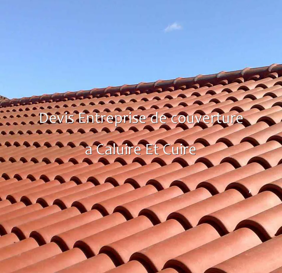 Devis Entreprise de couverture a Caluire Et Cuire