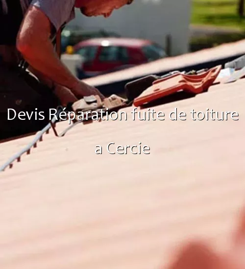 Devis Réparation fuite de toiture a Cercie