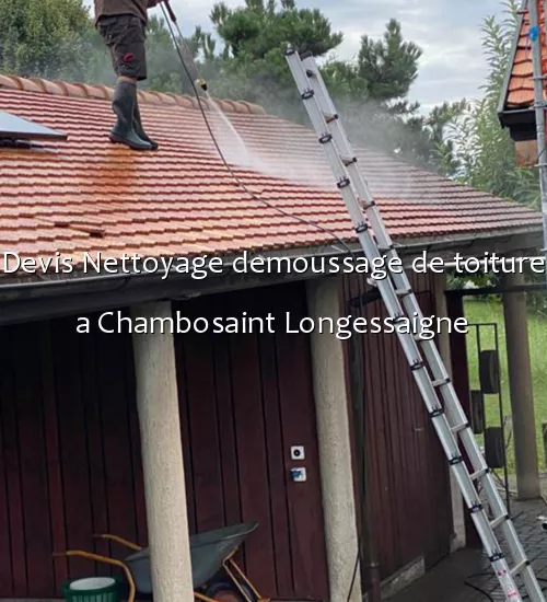 Devis Nettoyage demoussage de toiture a Chambosaint Longessaigne