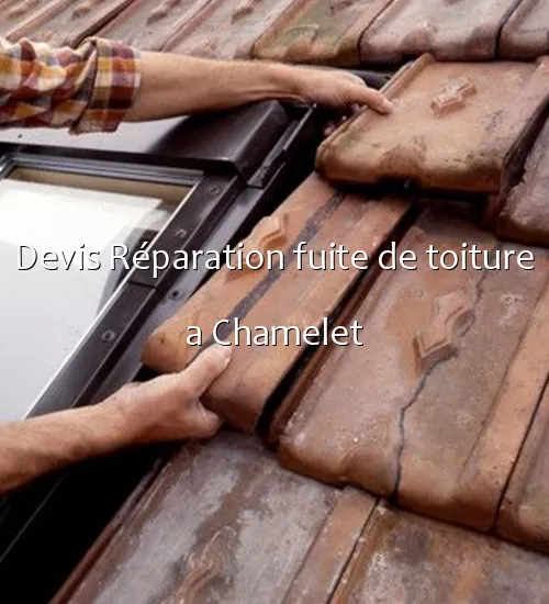 Devis Réparation fuite de toiture a Chamelet