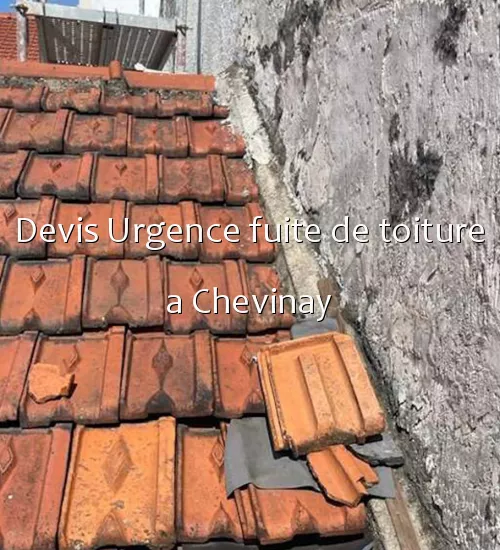 Devis Urgence fuite de toiture a Chevinay