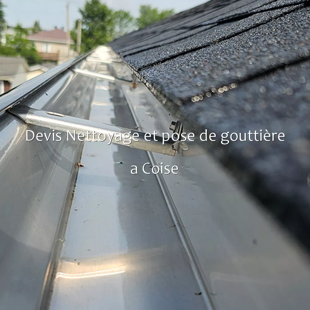 Devis Nettoyage et pose de gouttière a Coise