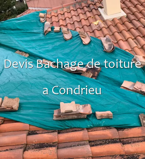 Devis Bachage de toiture a Condrieu
