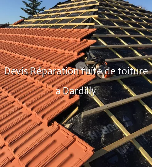 Devis Réparation fuite de toiture a Dardilly