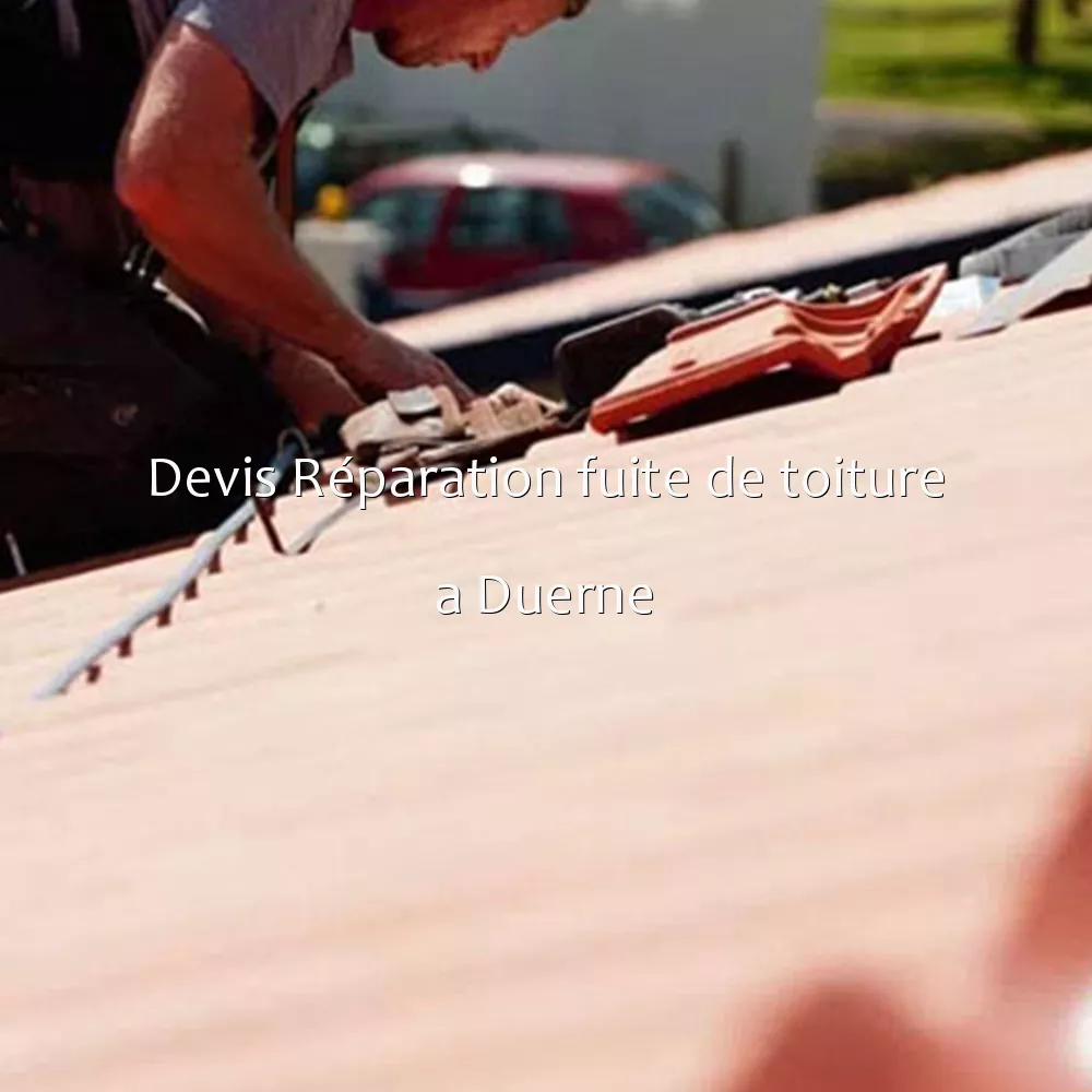 Devis Réparation fuite de toiture a Duerne