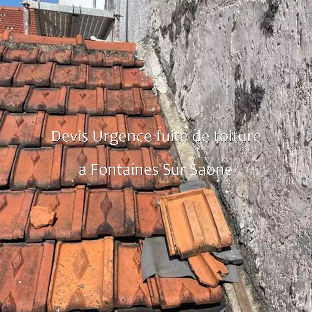 Devis Urgence fuite de toiture a Fontaines Sur Saone