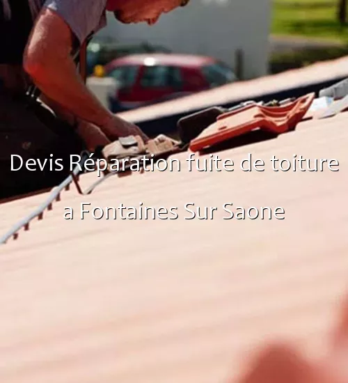 Devis Réparation fuite de toiture a Fontaines Sur Saone