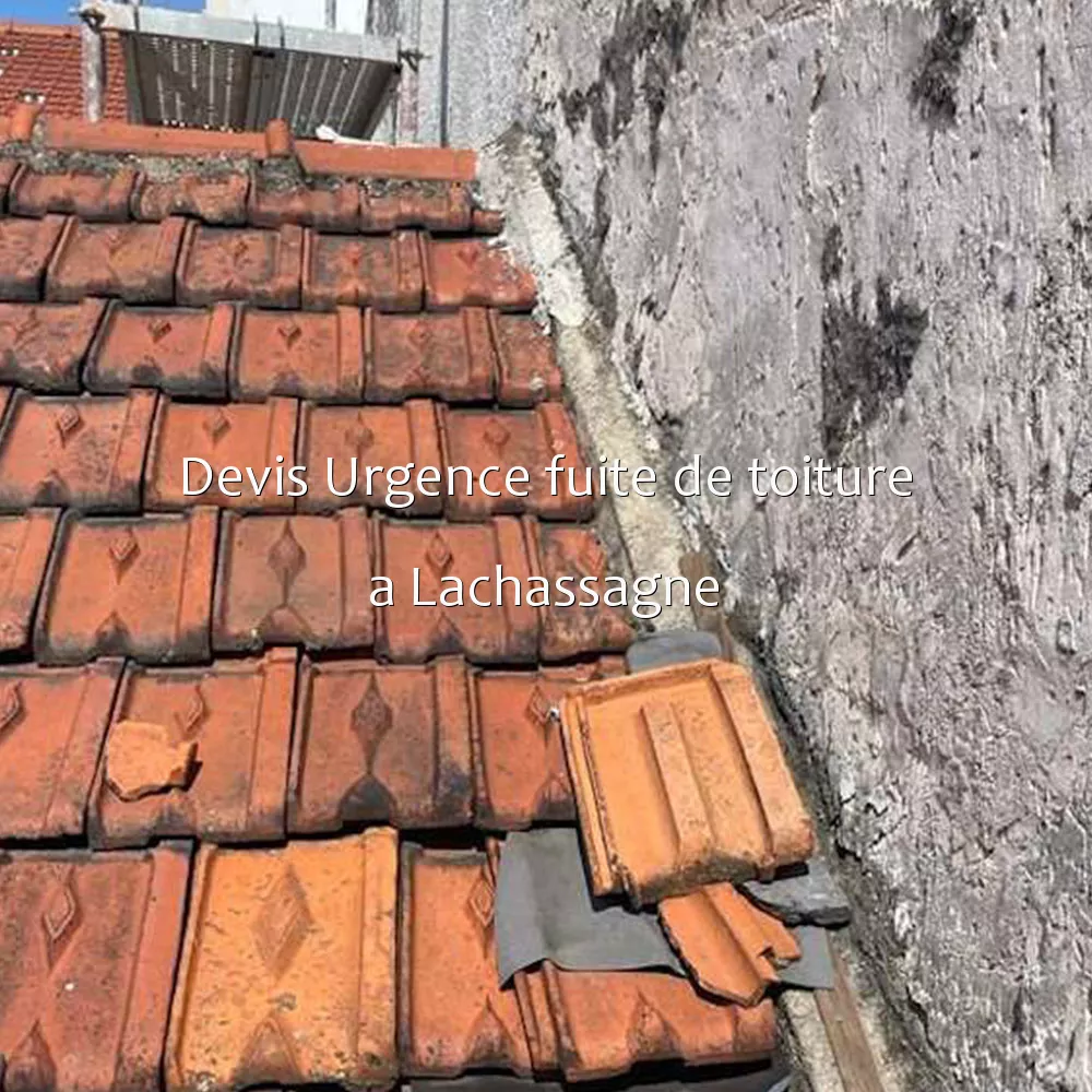 Devis Urgence fuite de toiture a Lachassagne