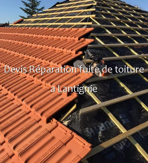Devis Réparation fuite de toiture a Lantignie