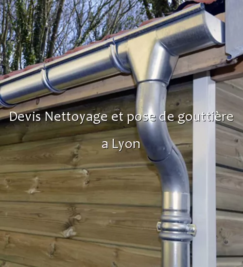 Devis Nettoyage et pose de gouttière a Lyon