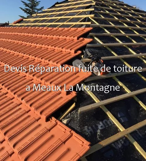 Devis Réparation fuite de toiture a Meaux La Montagne