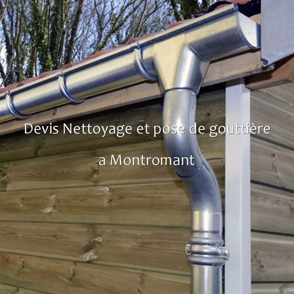 Devis Nettoyage et pose de gouttière a Montromant