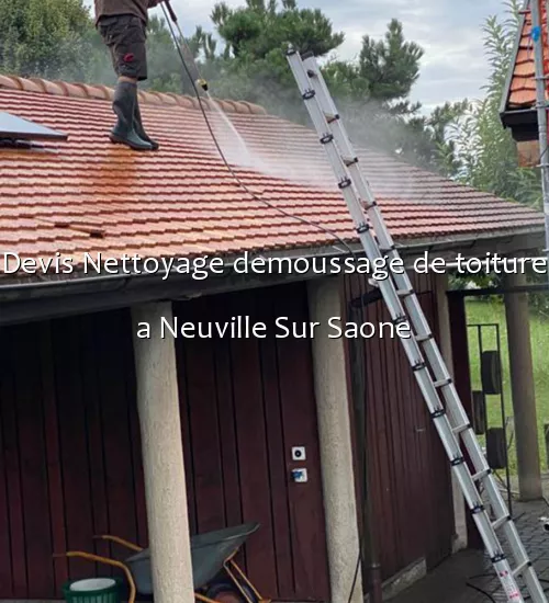 Devis Nettoyage demoussage de toiture a Neuville Sur Saone