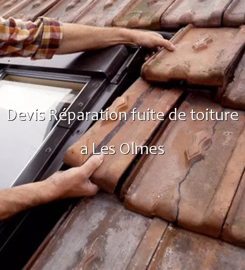 Devis Réparation fuite de toiture a Les Olmes
