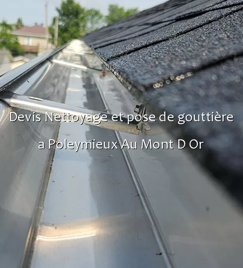 Devis Nettoyage et pose de gouttière a Poleymieux Au Mont D Or