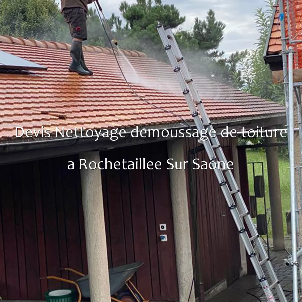 Devis Nettoyage demoussage de toiture a Rochetaillee Sur Saone