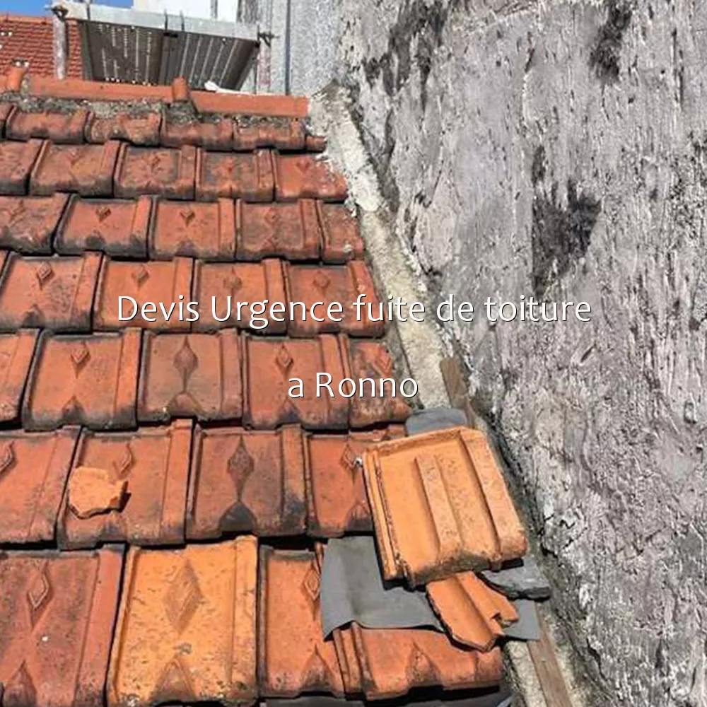 Devis Urgence fuite de toiture a Ronno