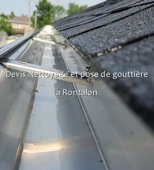 Devis Nettoyage et pose de gouttière a Rontalon