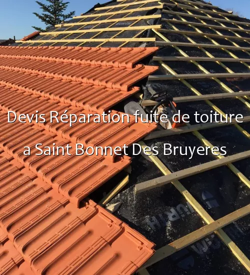 Devis Réparation fuite de toiture a Saint Bonnet Des Bruyeres
