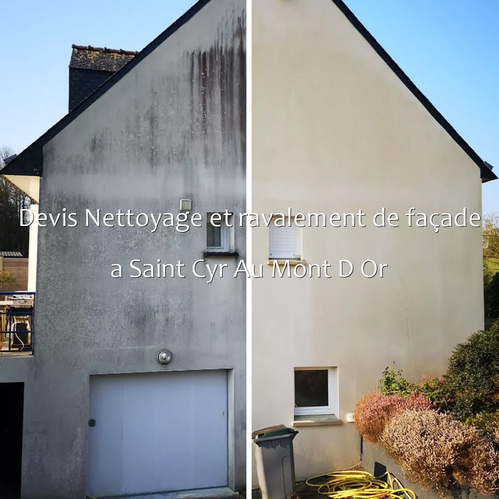 Devis Nettoyage et ravalement de façade a Saint Cyr Au Mont D Or