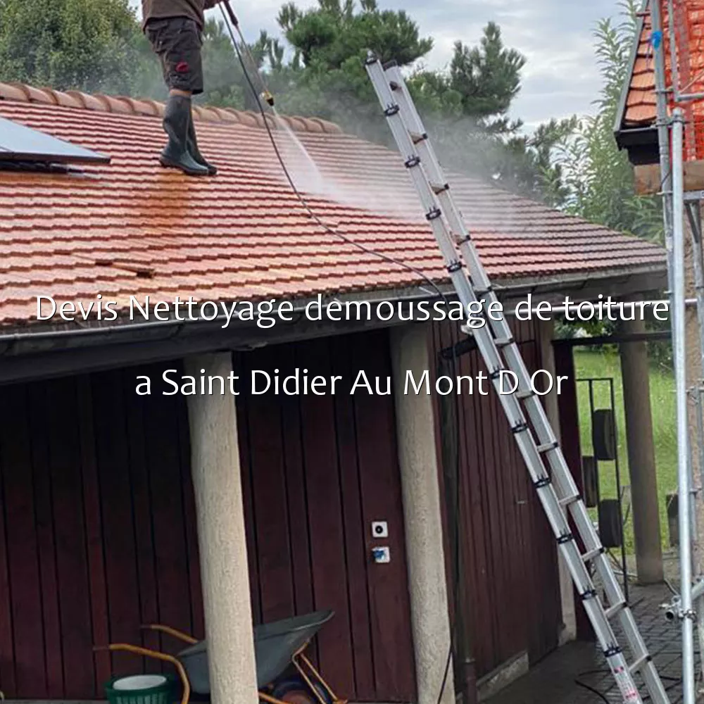 Devis Nettoyage demoussage de toiture a Saint Didier Au Mont D Or