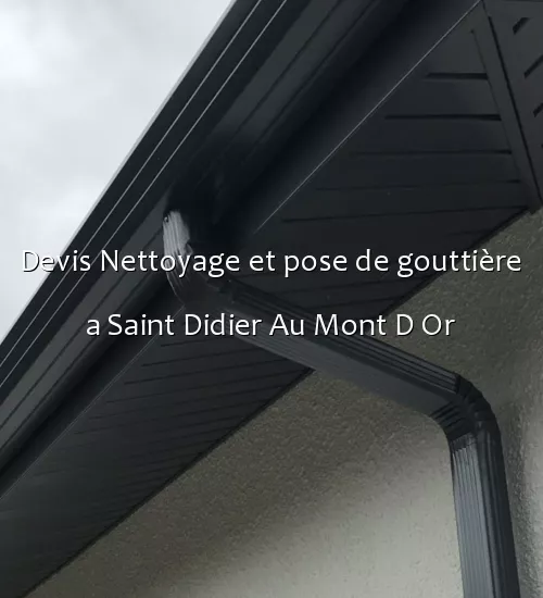 Devis Nettoyage et pose de gouttière a Saint Didier Au Mont D Or
