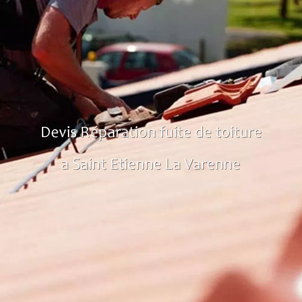 Devis Réparation fuite de toiture a Saint Etienne La Varenne