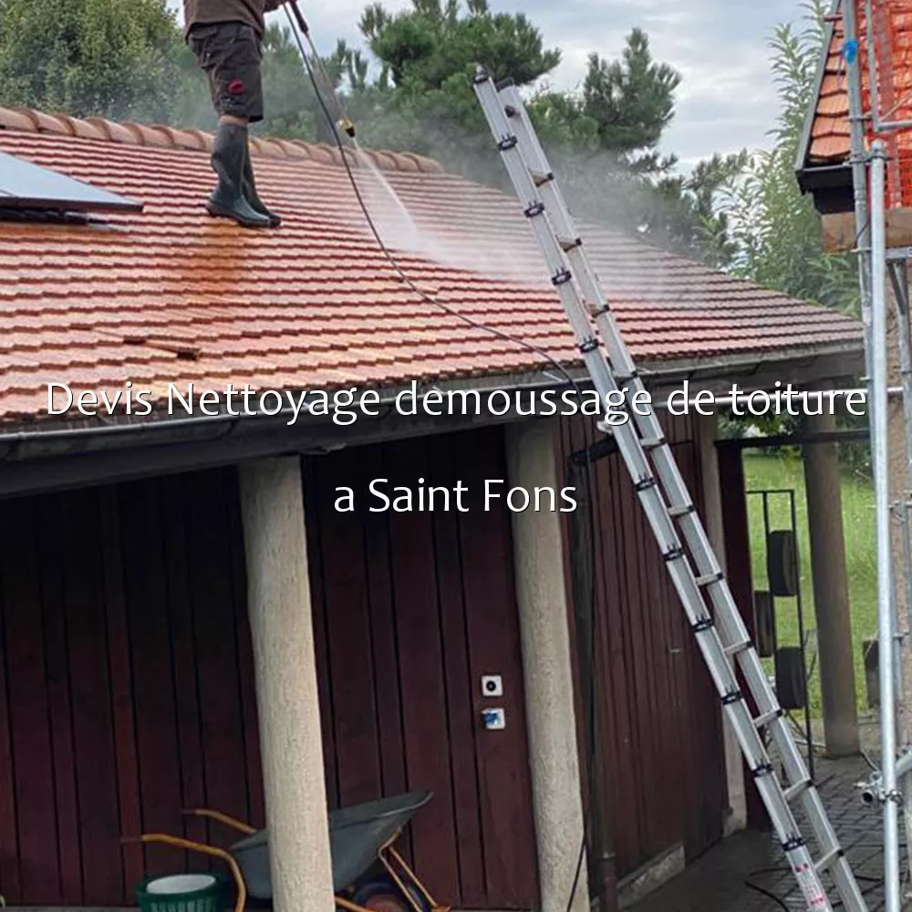 Devis Nettoyage demoussage de toiture a Saint Fons