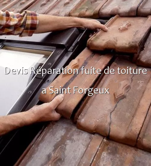 Devis Réparation fuite de toiture a Saint Forgeux