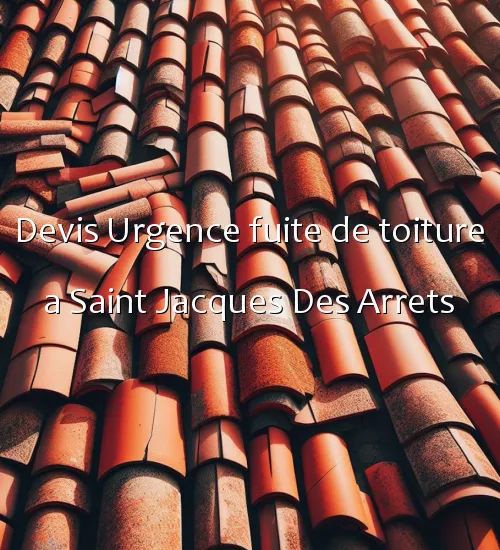 Devis Urgence fuite de toiture a Saint Jacques Des Arrets