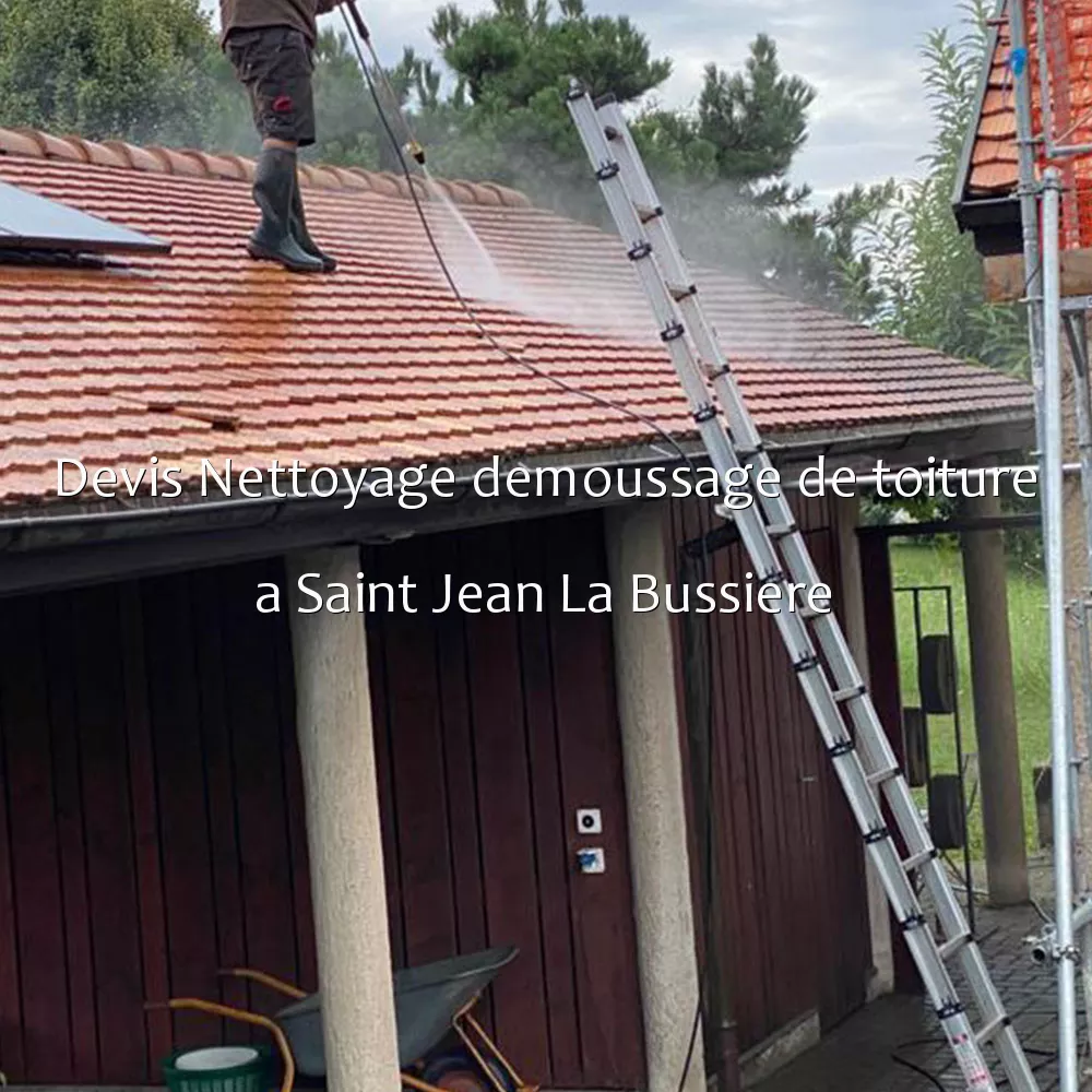 Devis Nettoyage demoussage de toiture a Saint Jean La Bussiere