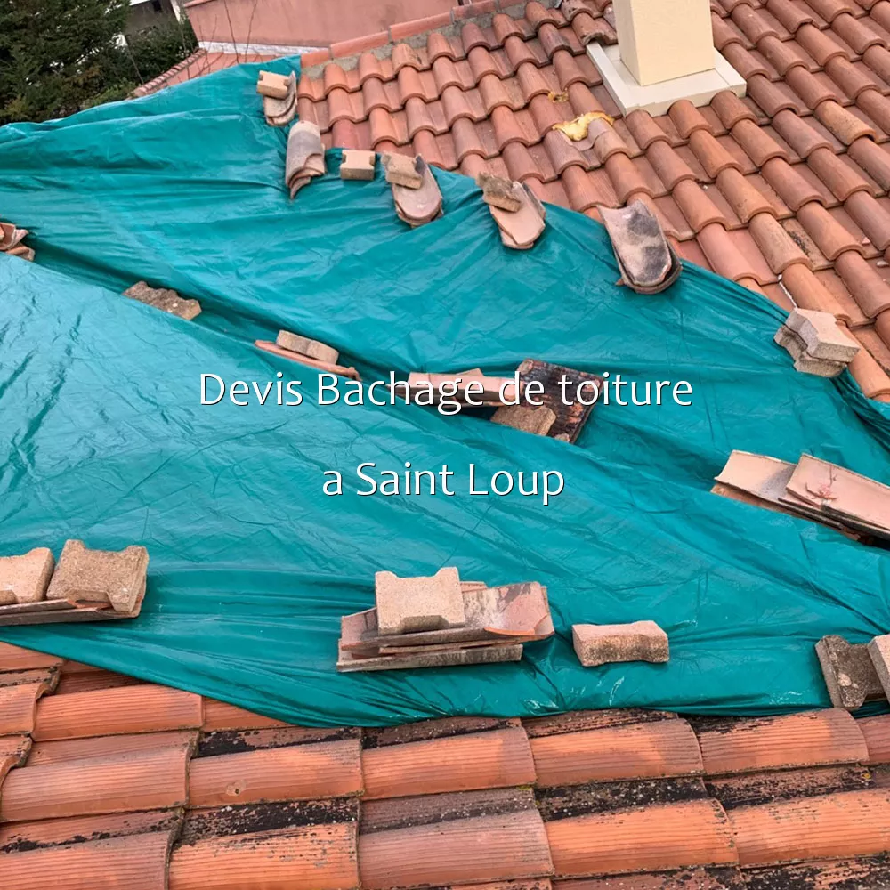 Devis Bachage de toiture a Saint Loup