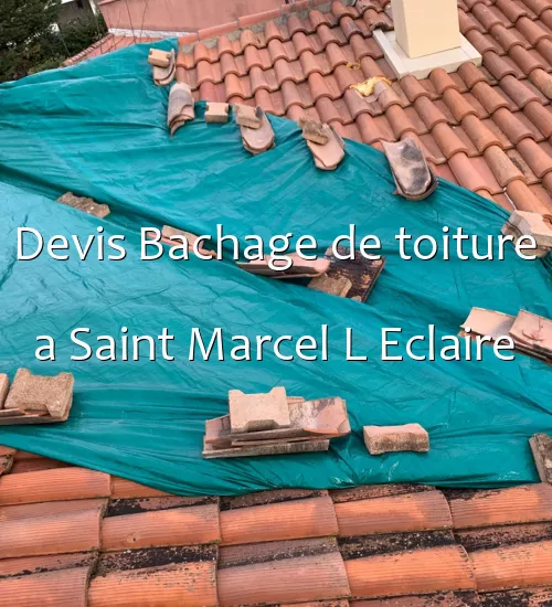 Devis Bachage de toiture a Saint Marcel L Eclaire