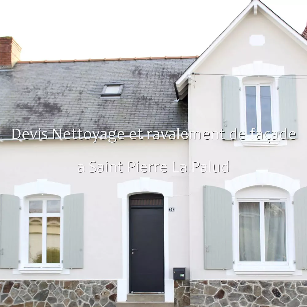 Devis Nettoyage et ravalement de façade a Saint Pierre La Palud