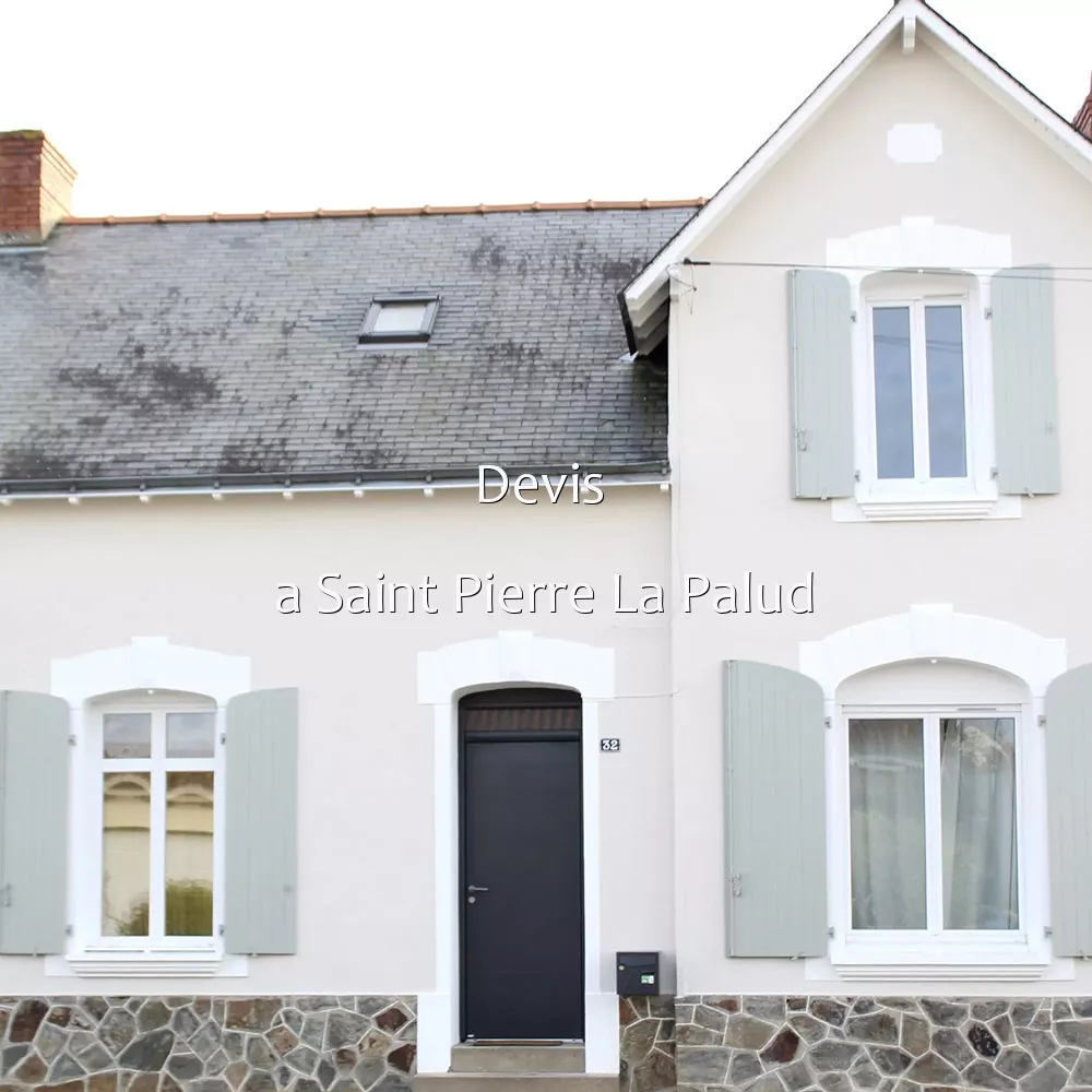 Devis  a Saint Pierre La Palud
