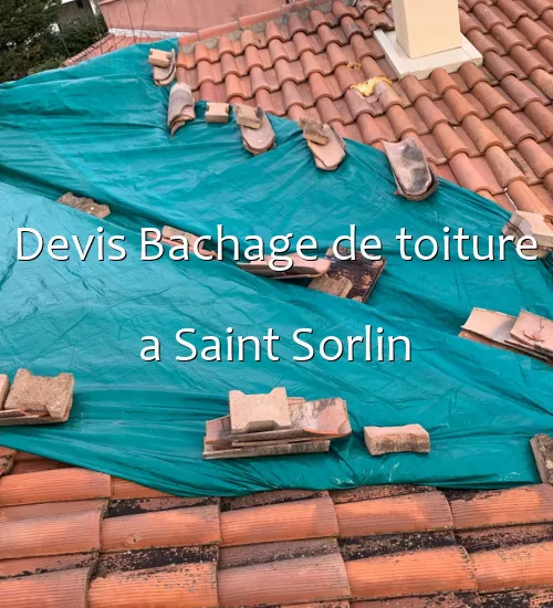 Devis Bachage de toiture a Saint Sorlin
