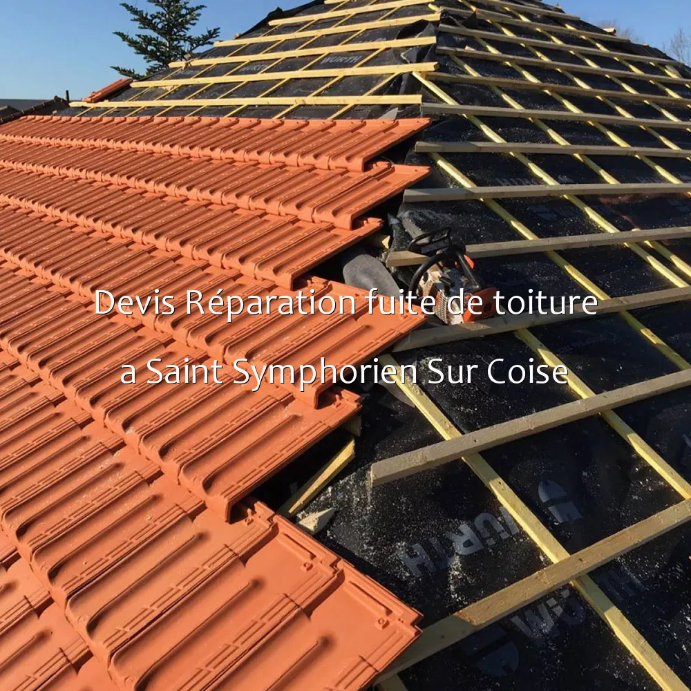 Devis Réparation fuite de toiture a Saint Symphorien Sur Coise