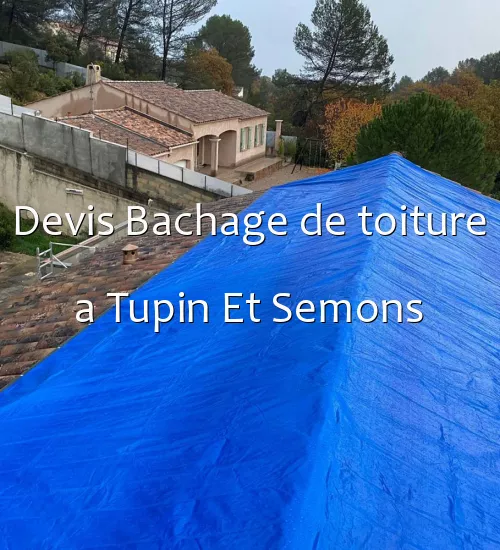 Devis Bachage de toiture a Tupin Et Semons