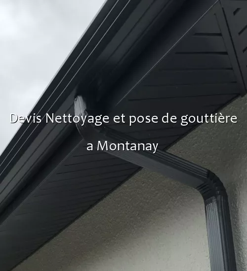 Devis Nettoyage et pose de gouttière a Montanay