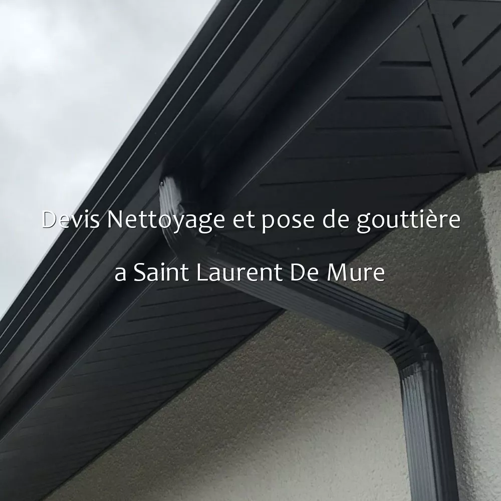 Devis Nettoyage et pose de gouttière a Saint Laurent De Mure