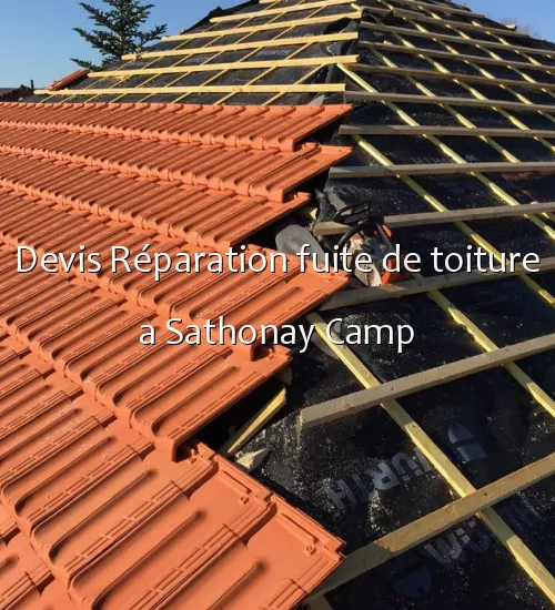 Devis Réparation fuite de toiture a Sathonay Camp