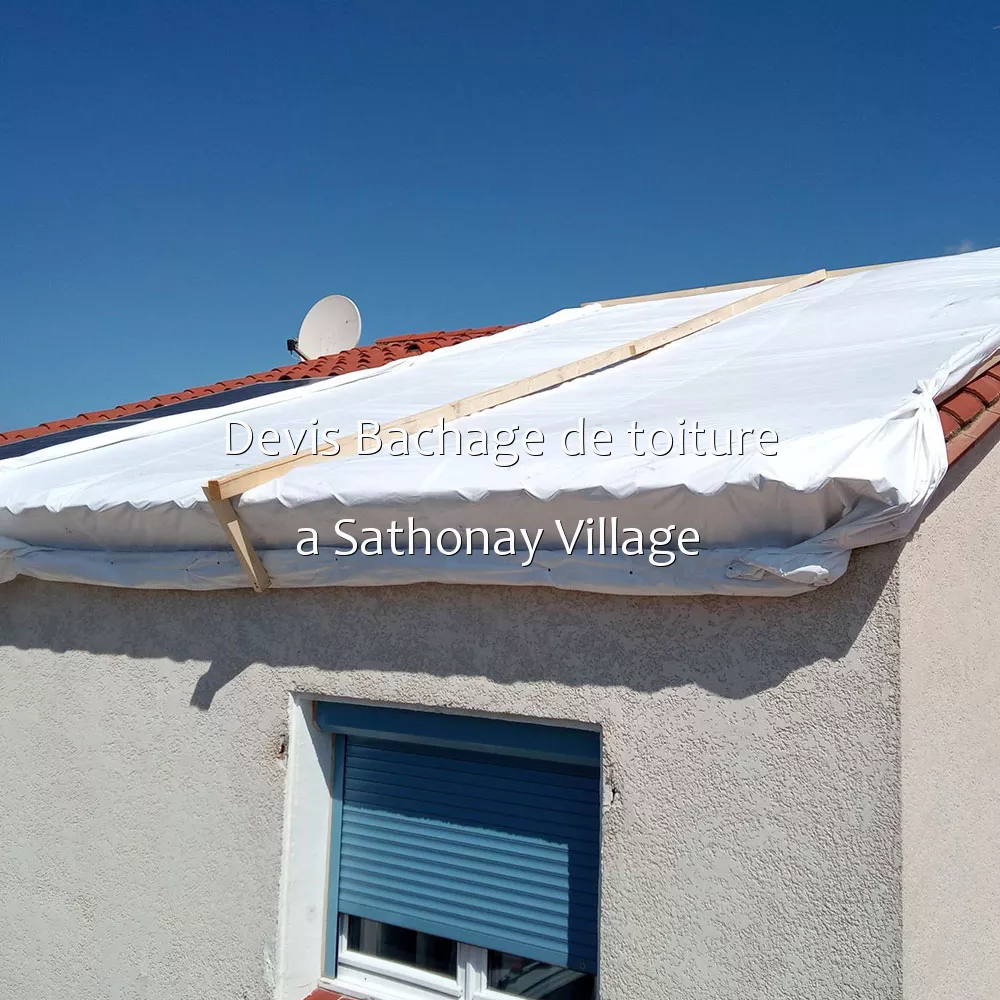 Devis Bachage de toiture a Sathonay Village