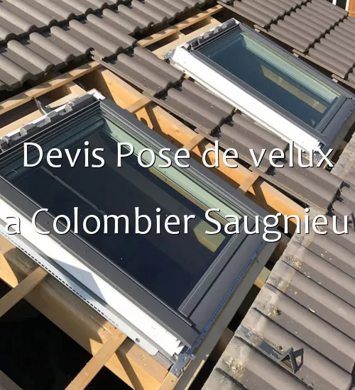 Devis Pose de velux a Colombier Saugnieu