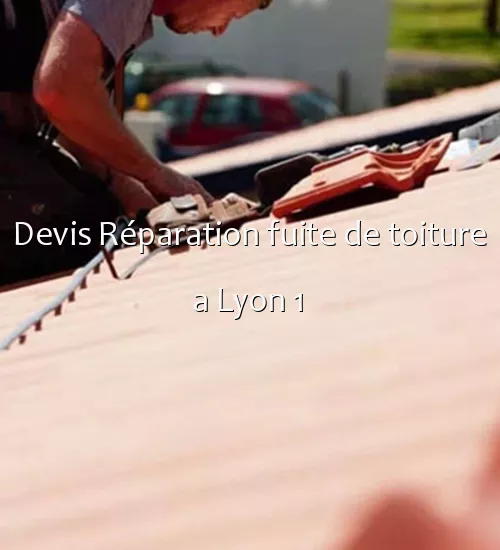 Devis Réparation fuite de toiture a Lyon 1